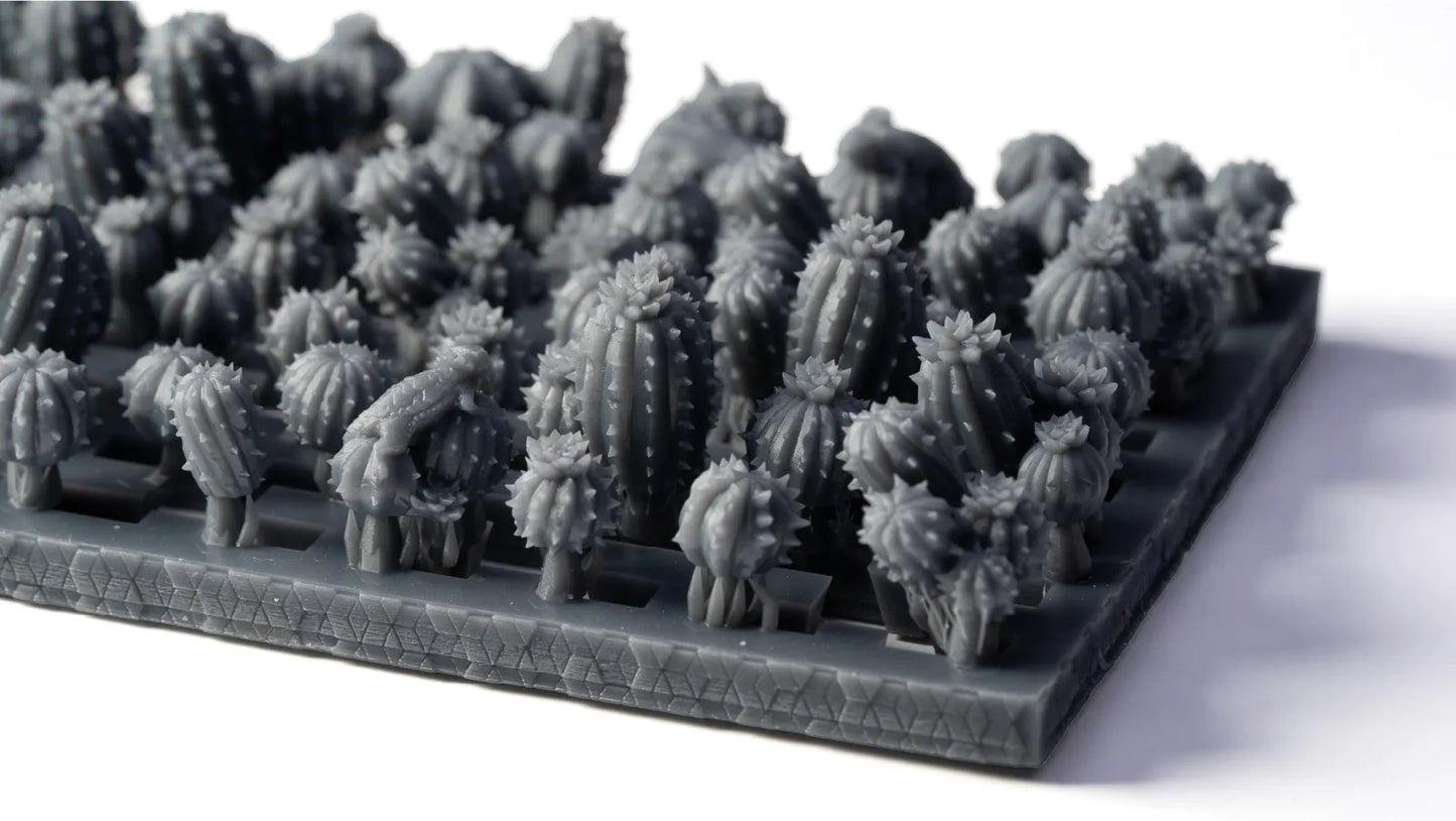 Barrel Cacti Basing Bits
