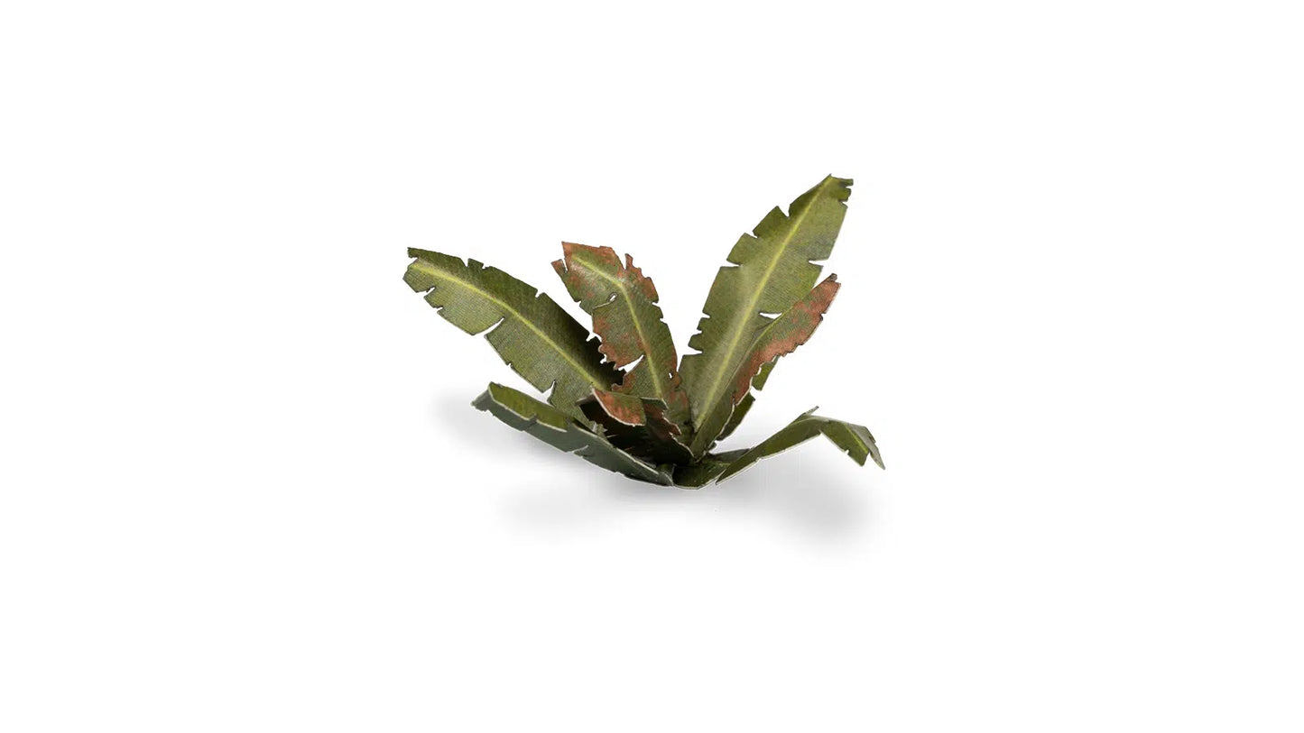 Banana Tree Gamers Grass