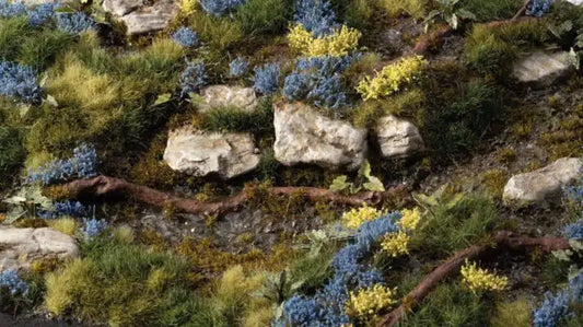 Bluebeard Flowers