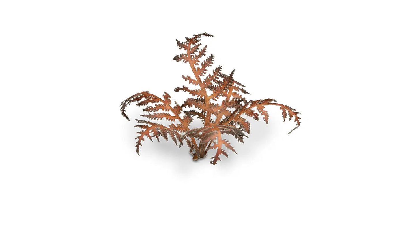 Dry Bracken Gamers Grass