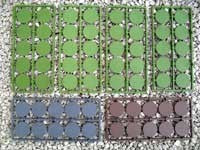 Renedra: 25mm Bases
