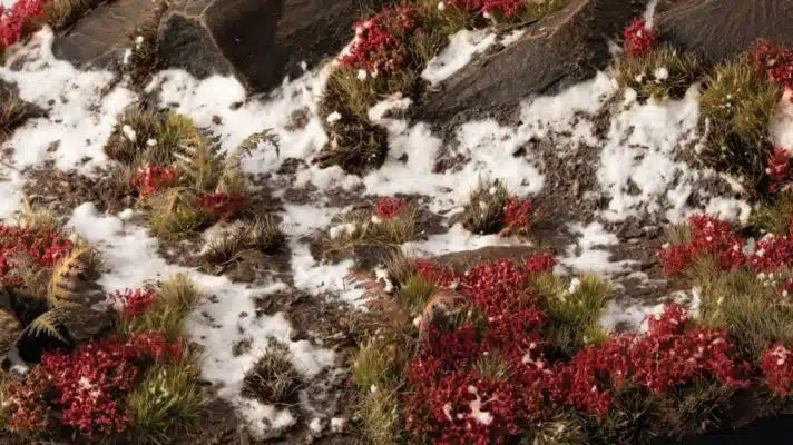 Laliguras Flowers