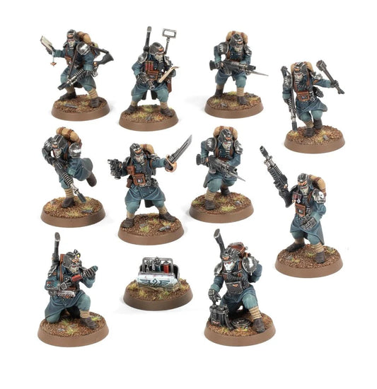 Veteran Guardsmen